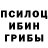 Галлюциногенные грибы мицелий Syimyk Kalykov