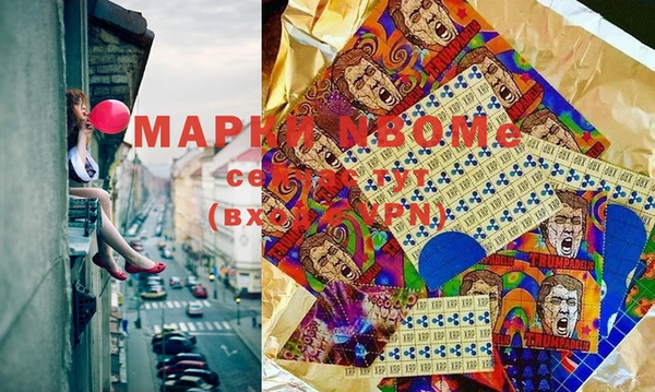 гидра Надым