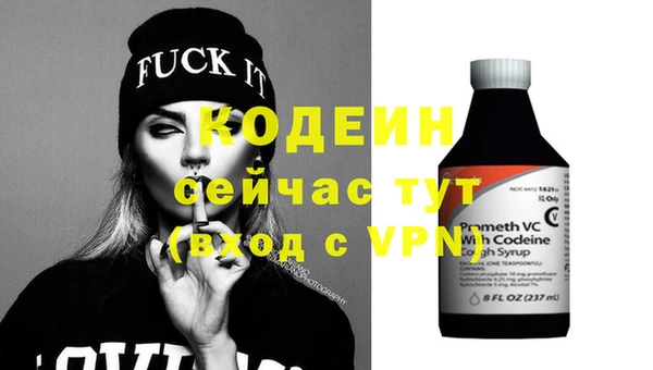 гидра Надым