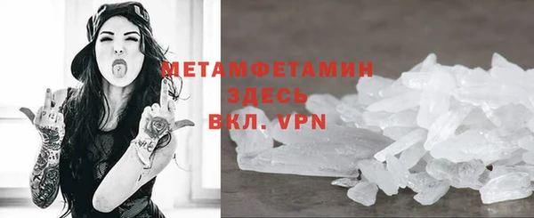 гидра Надым