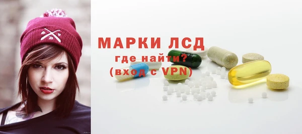 гидра Надым