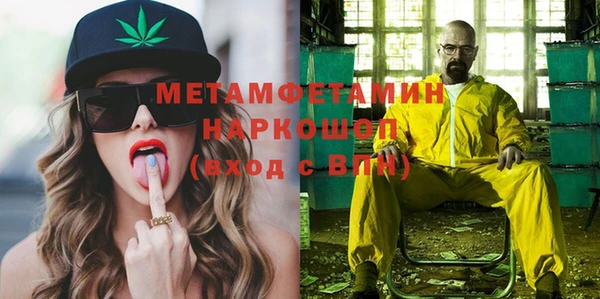 гидра Надым