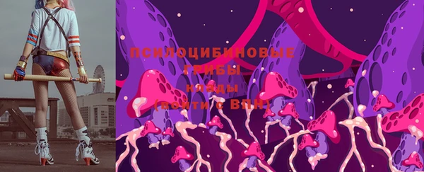 гидра Надым