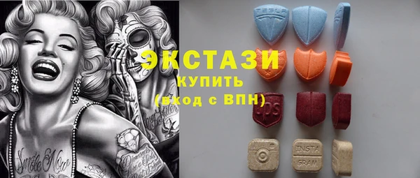 гидра Надым