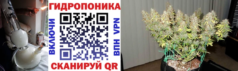 Канабис тримм  блэк спрут онион  Сысерть 